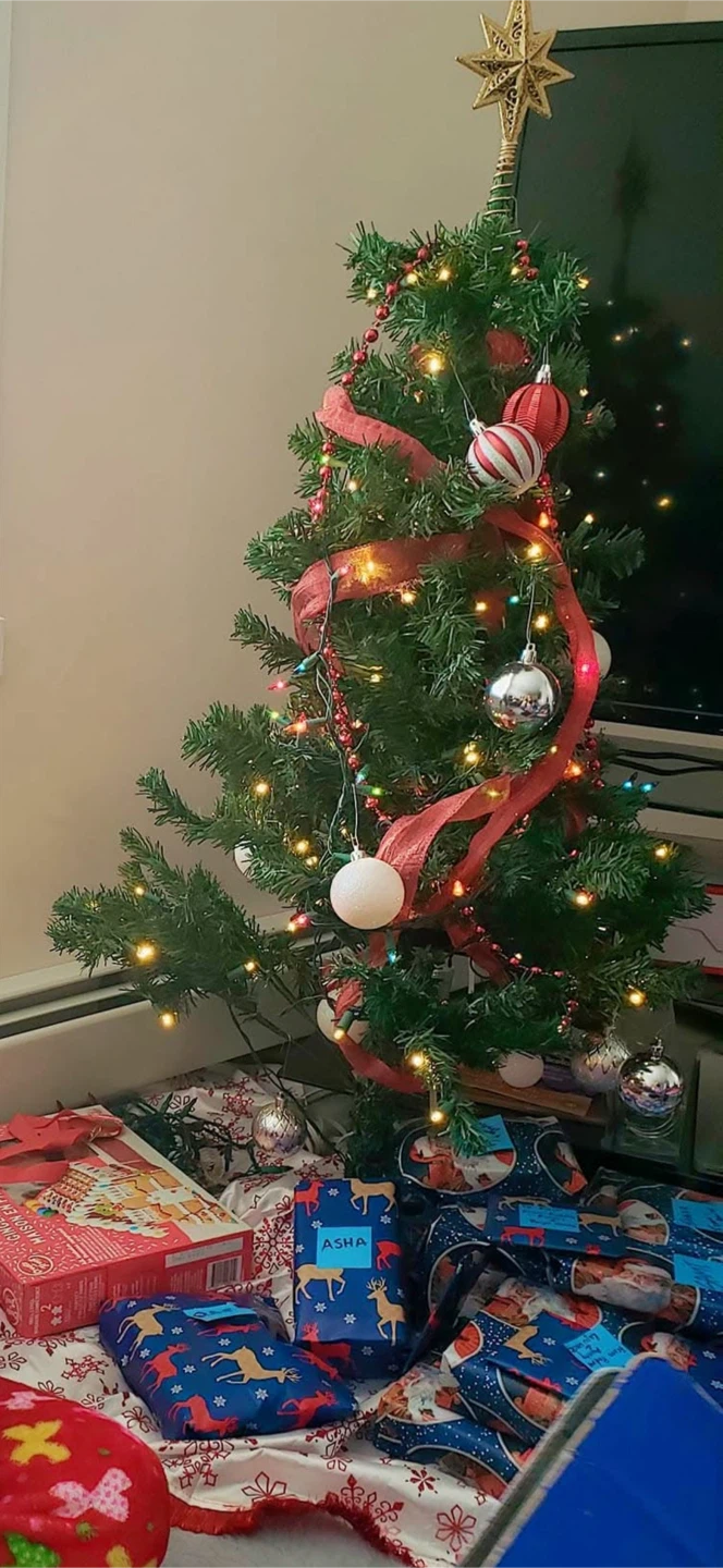Small Christmas Tree
