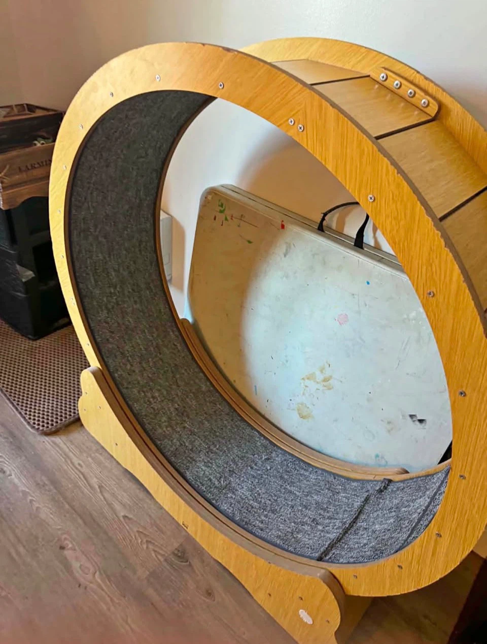 Cat Wheel - photo 2