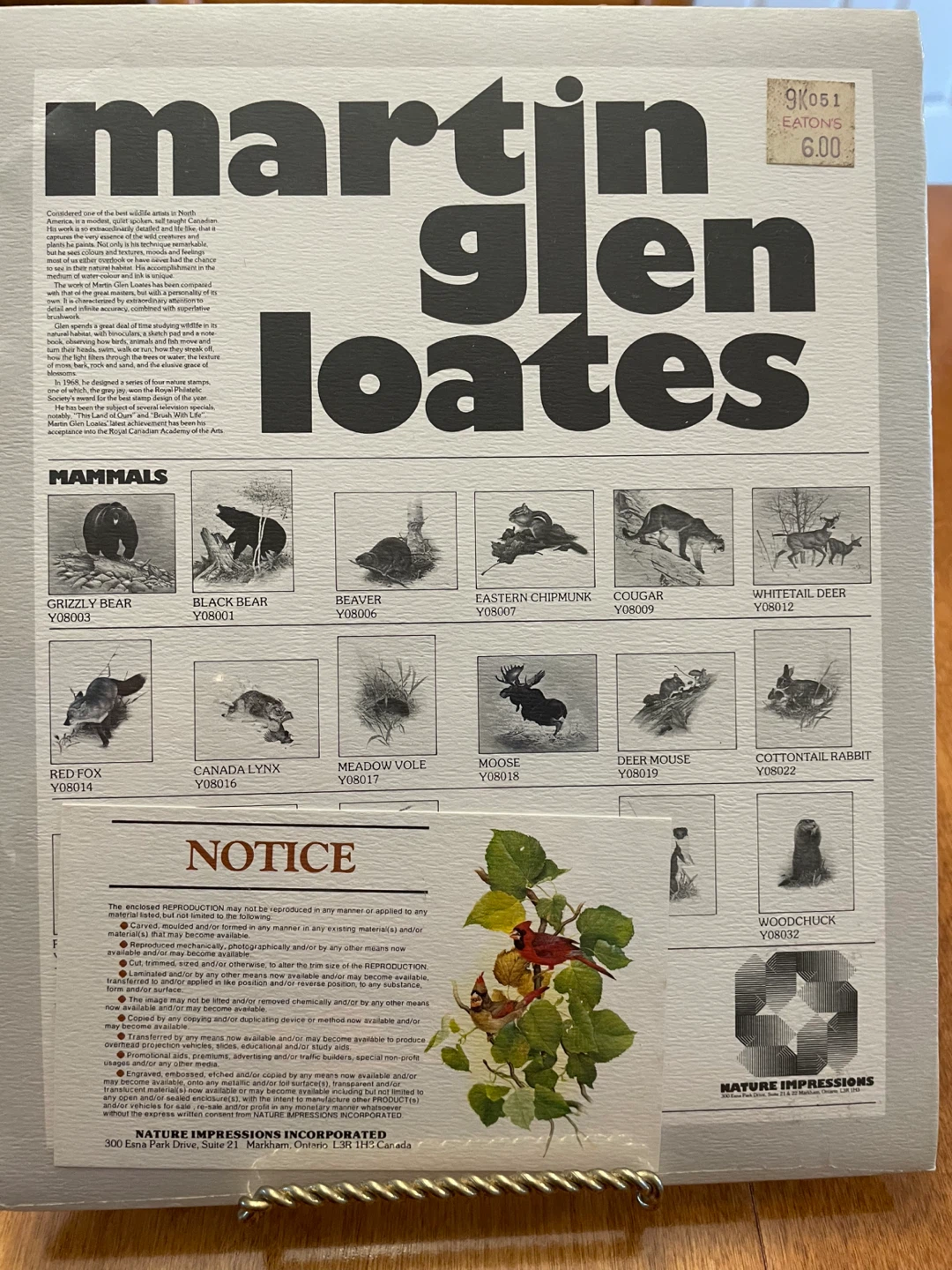 Martin Glen Loates Beaver Print - photo 2