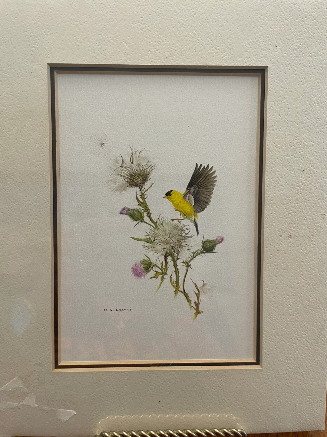 Glen Loates Goldfinch Framed Art Print