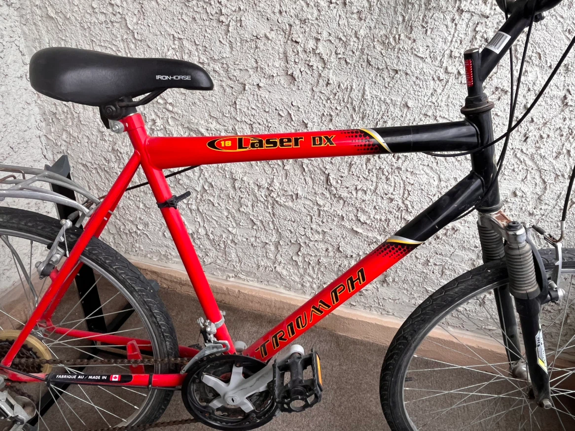 Triumph Laser DX Mountain Bike - photo 3