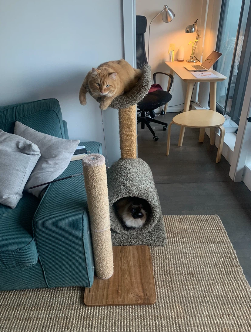 Cat Tree with Condo and Perch - photo 2