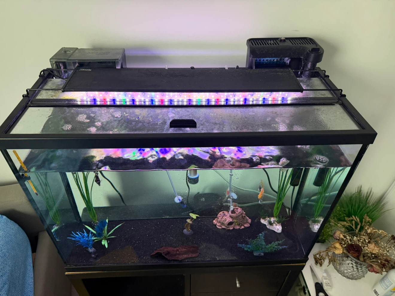 Aquarium 35 Gallon Tank Setup - photo 2