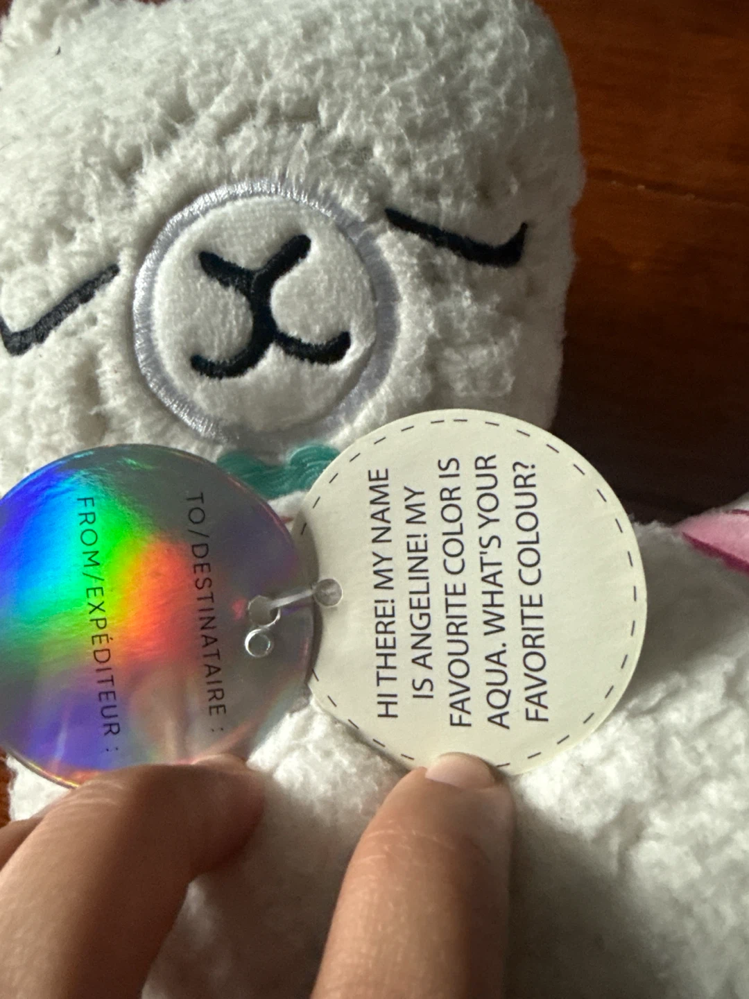 Cute warmy Warmable Plush Toy - photo 3
