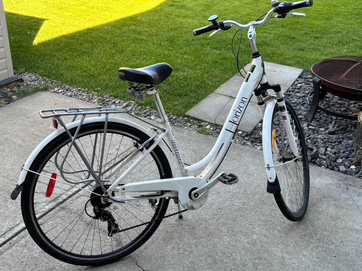 Infinity Horizon Comfort Bike Excellent Condition – $200
