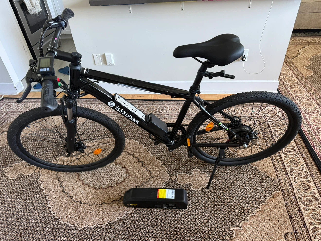 Isinwheel Electric Bike