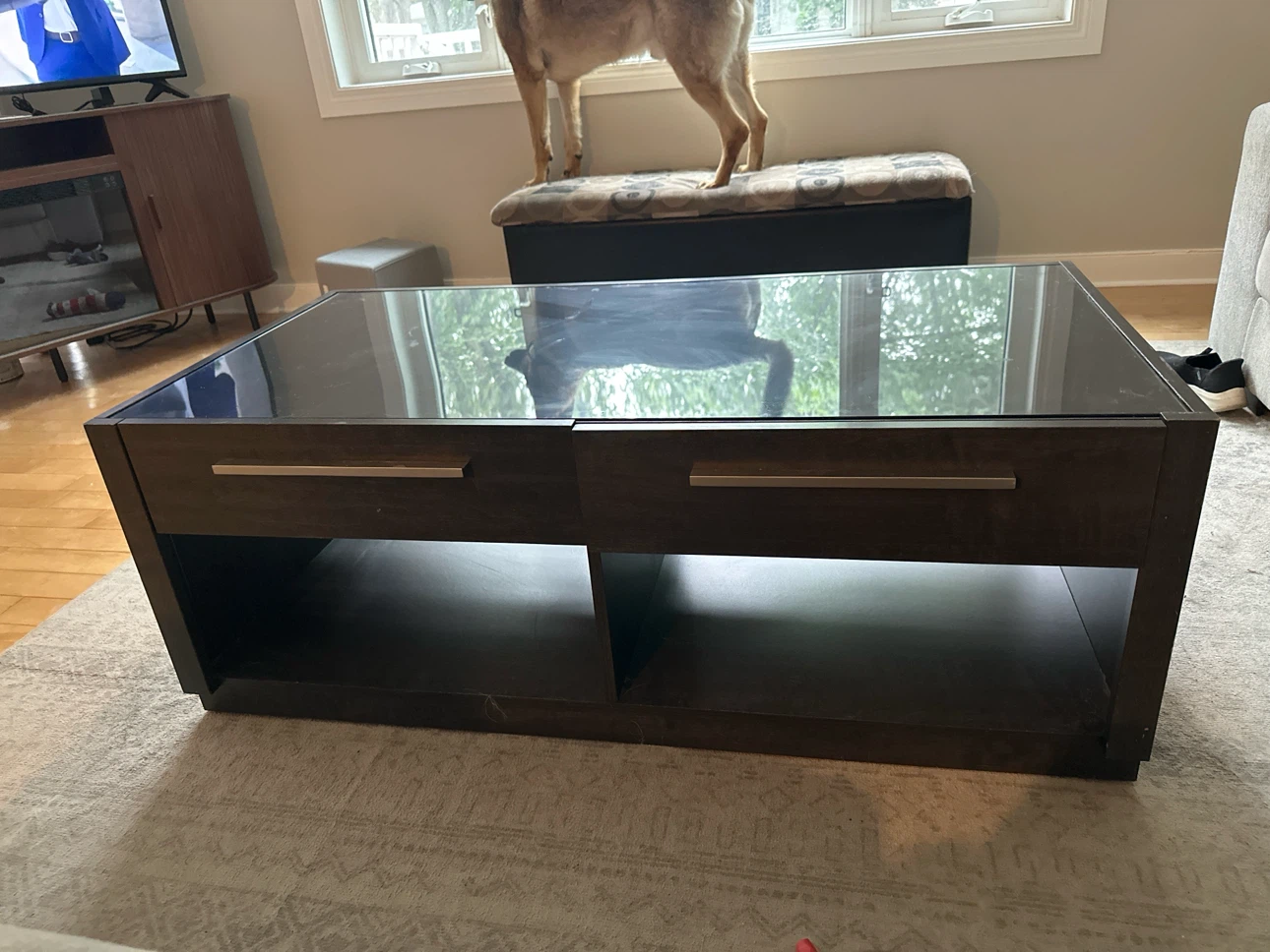 Black Coffee Table with Storage Drawers