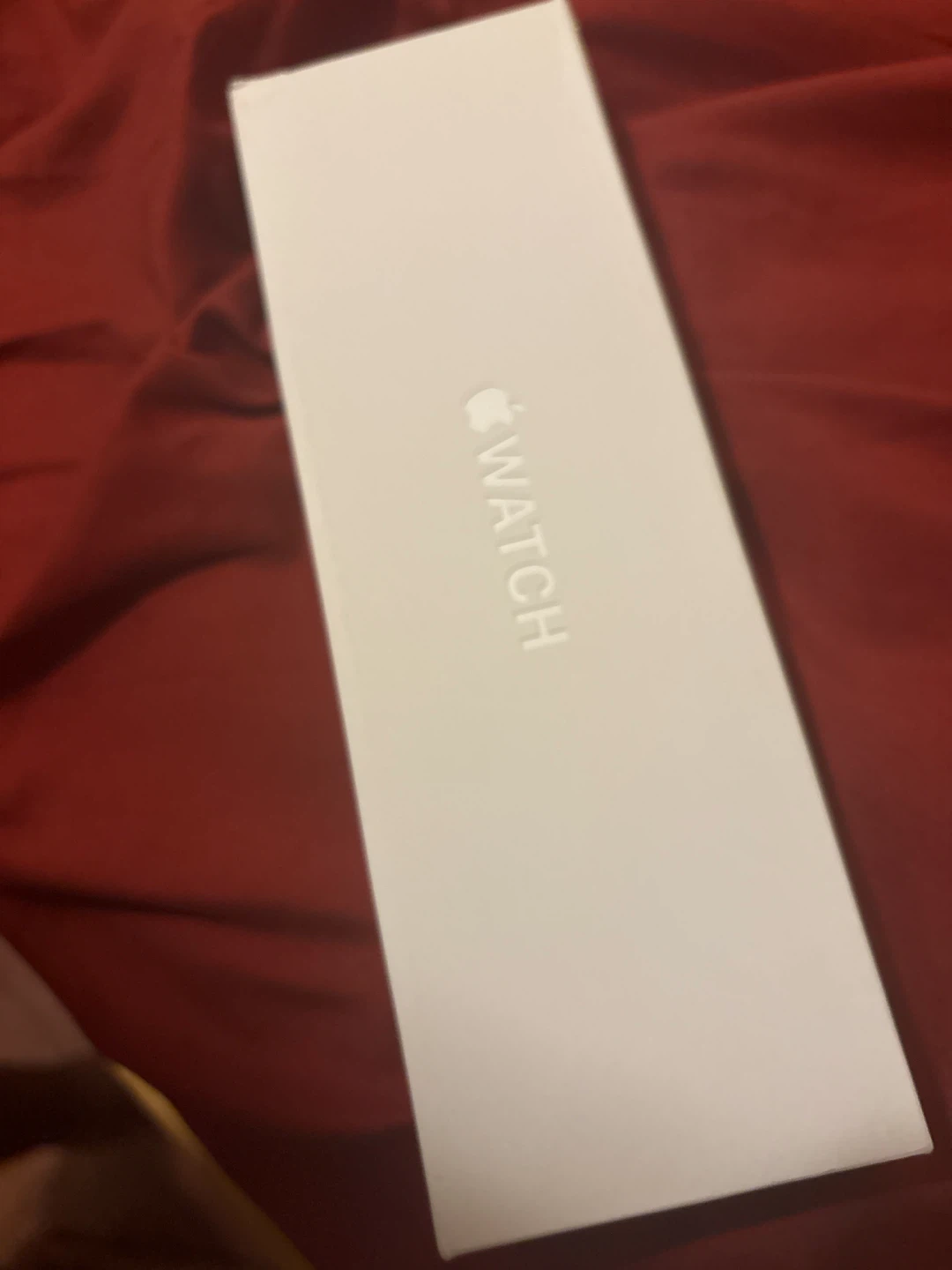 Apple Watch Series 11 Titanium