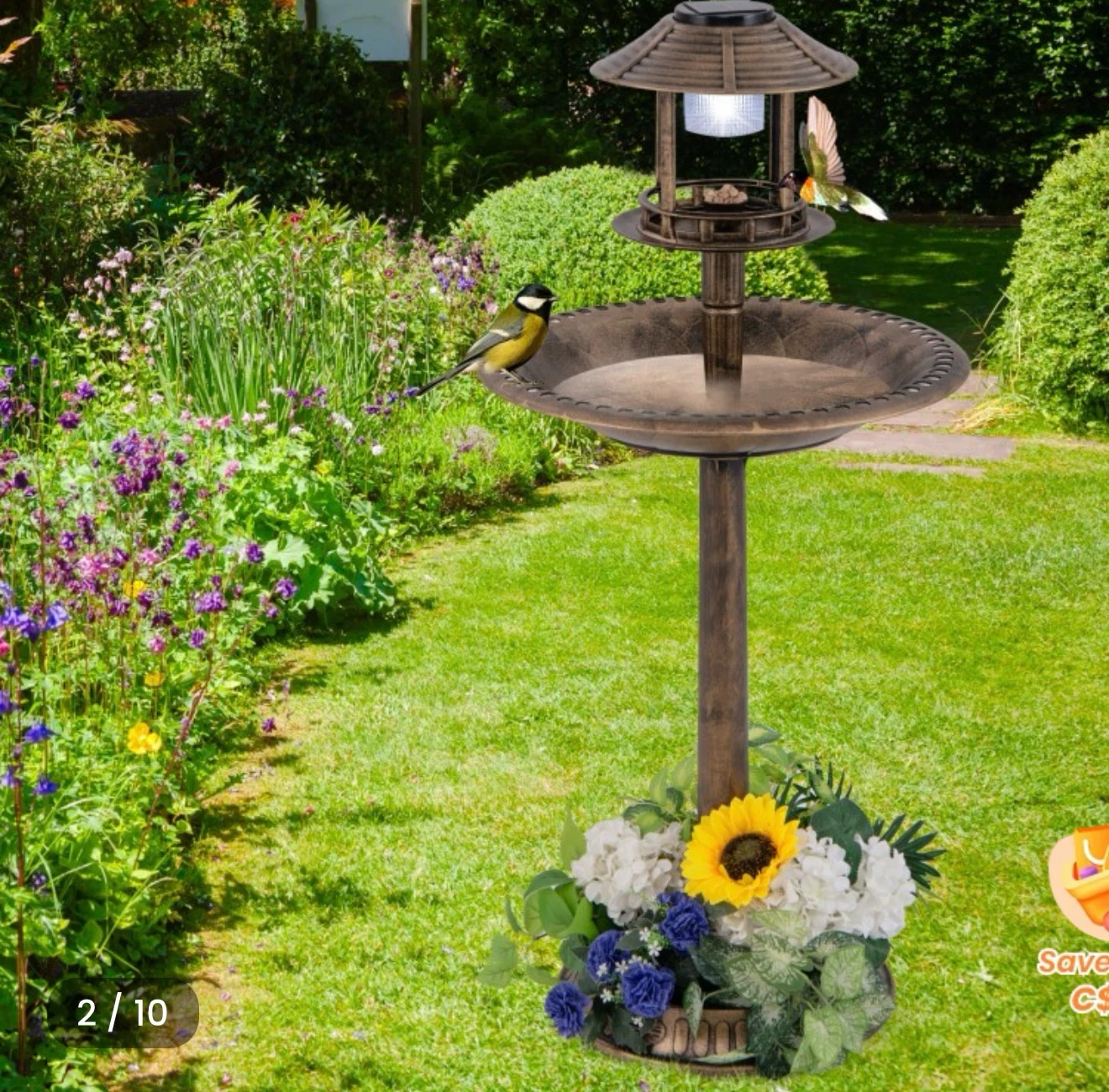 Solar Powered Bird Bath and Feeder