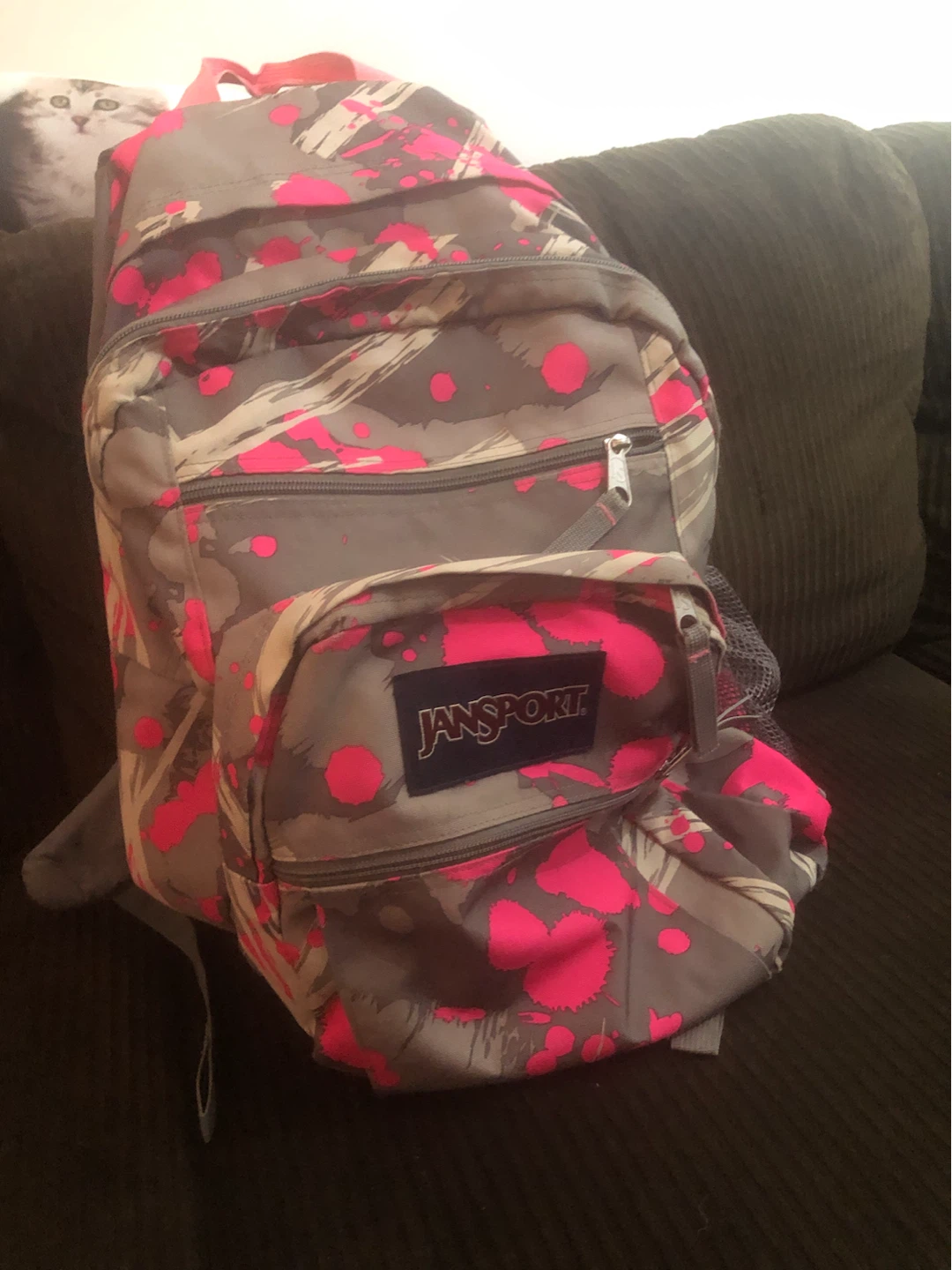 JanSport Backpack - Pink Paint Splatter Pattern