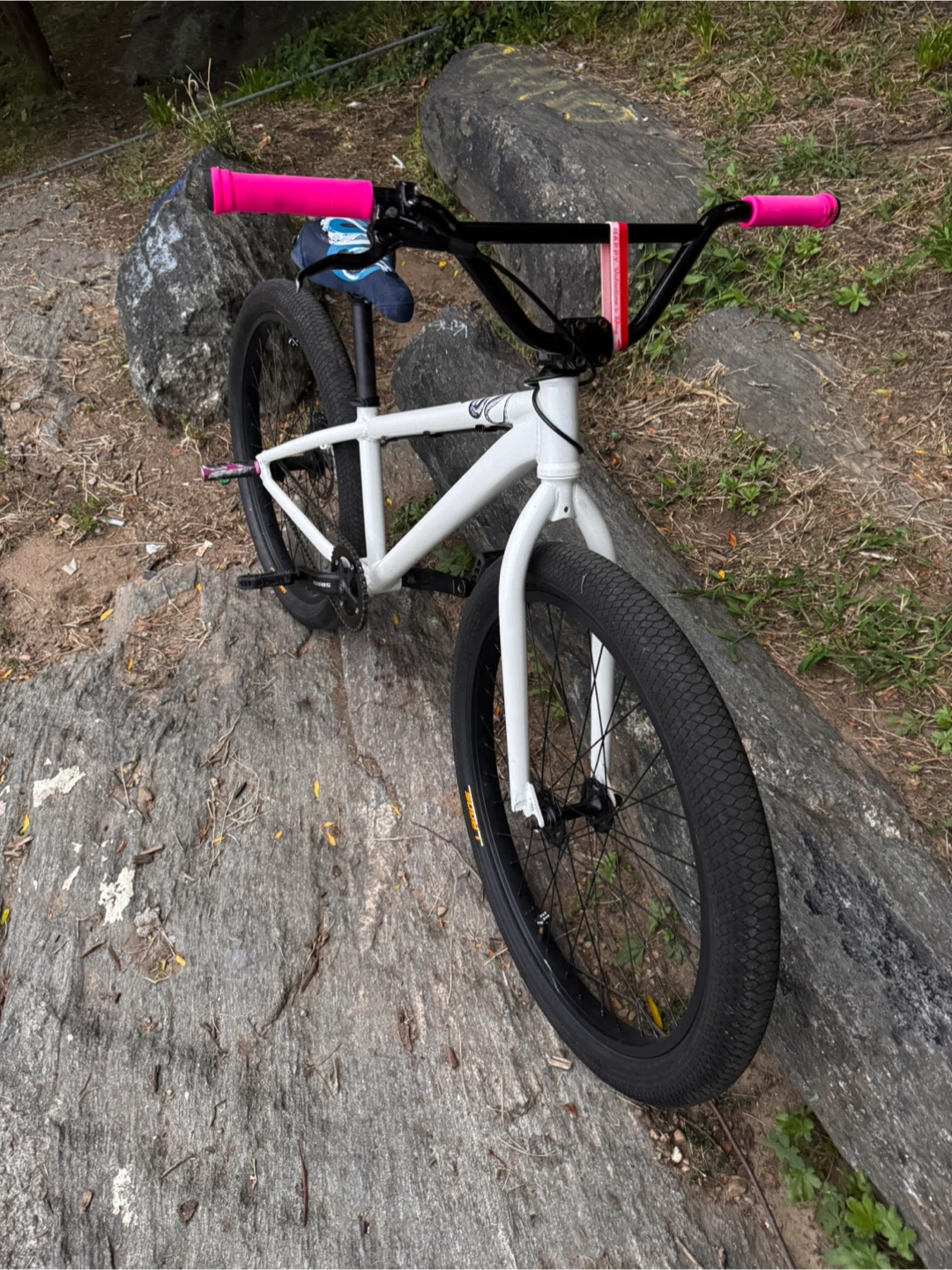 Mafia bike medusa