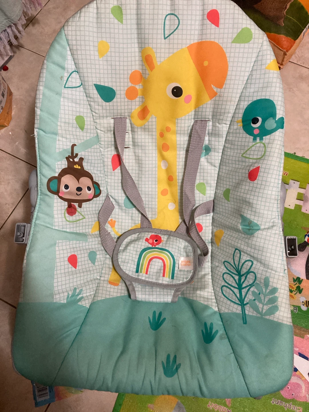 Bright Starts Baby Bouncer Seat
