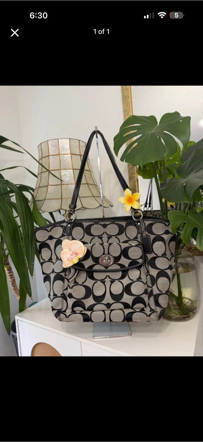Coach bag y2k