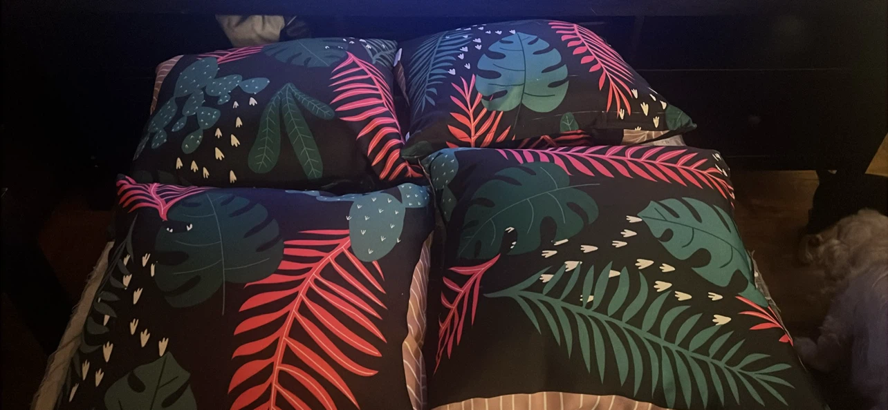 Lauren Taylor Botanical Throw Pillows and tablecloths set