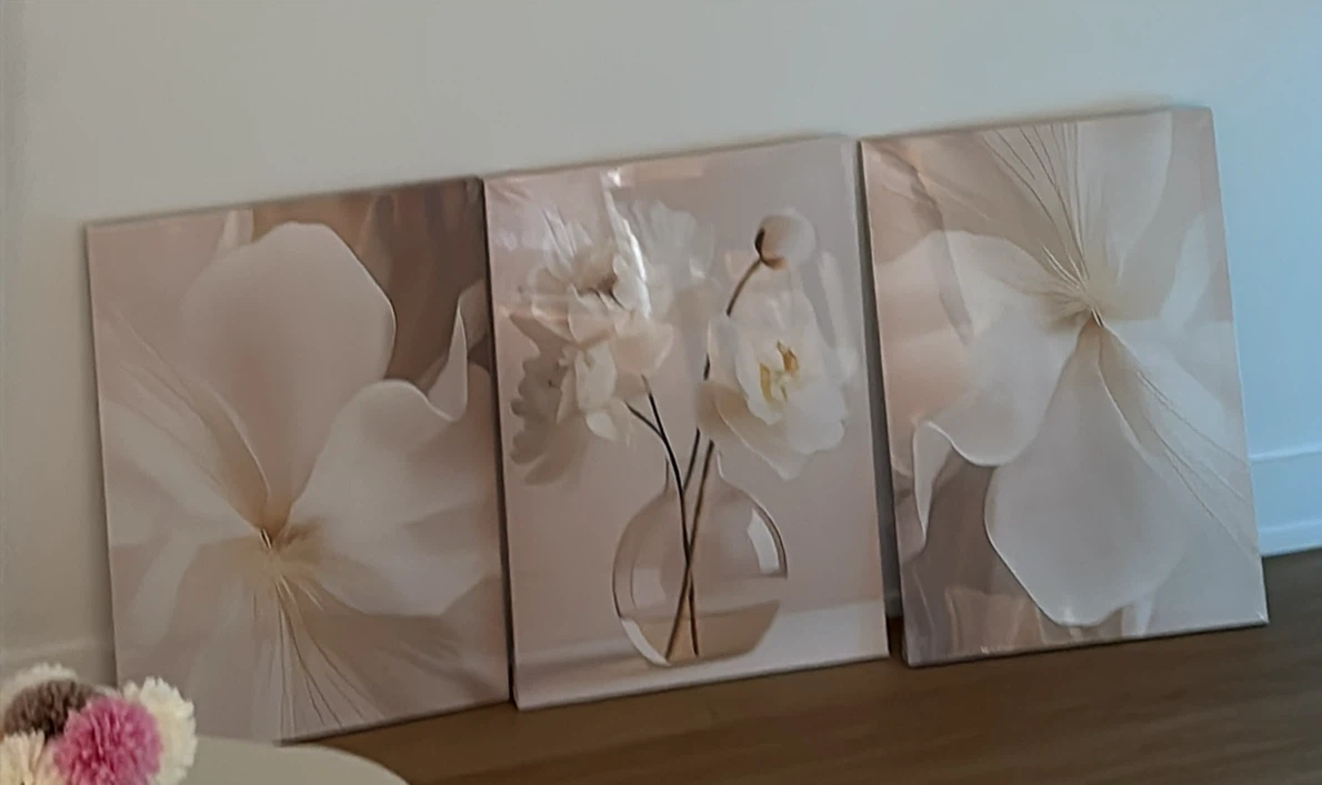3 pack art