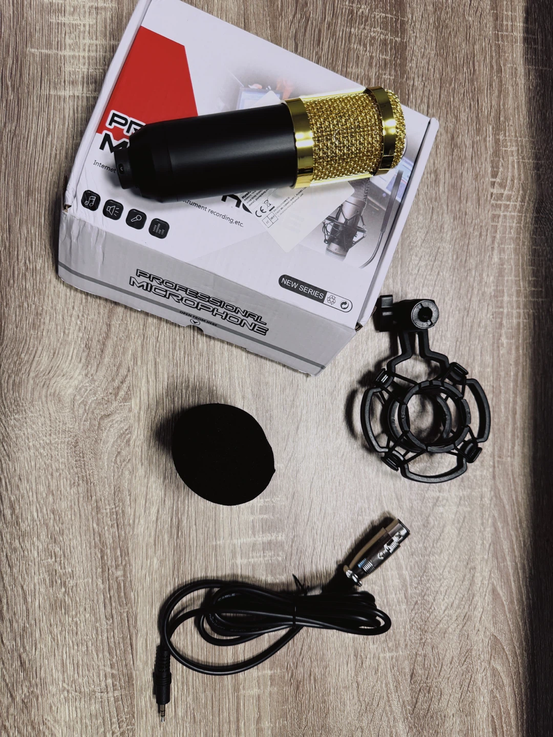 Professional Microphone