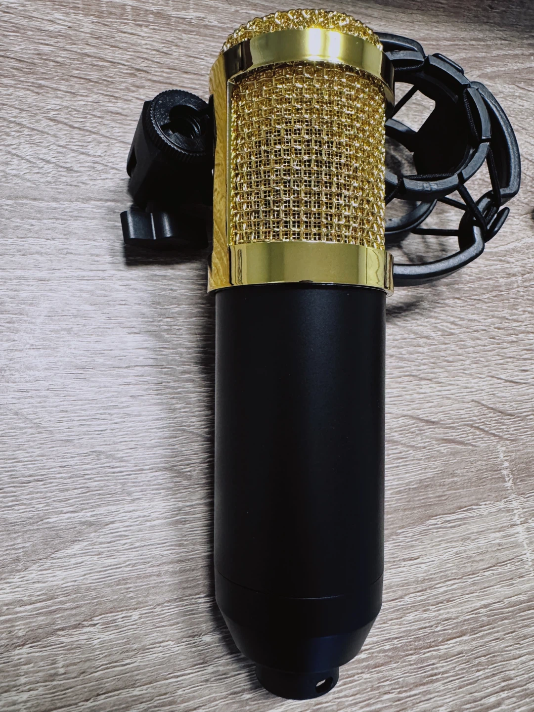 Professional Microphone - photo 2