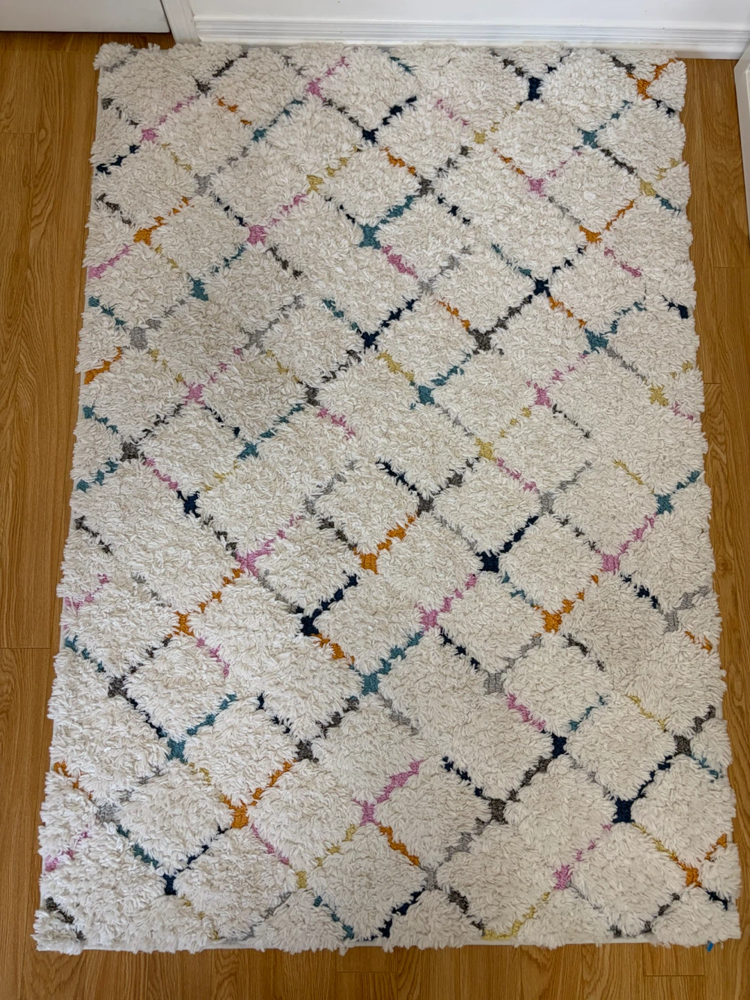 Barden Geometric Indoor Rug by Dakota Fields