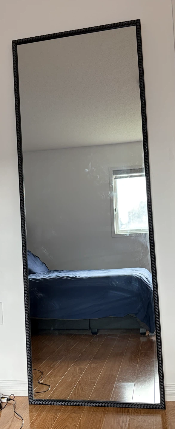 Full Length Mirror with Brown Ornate Frame