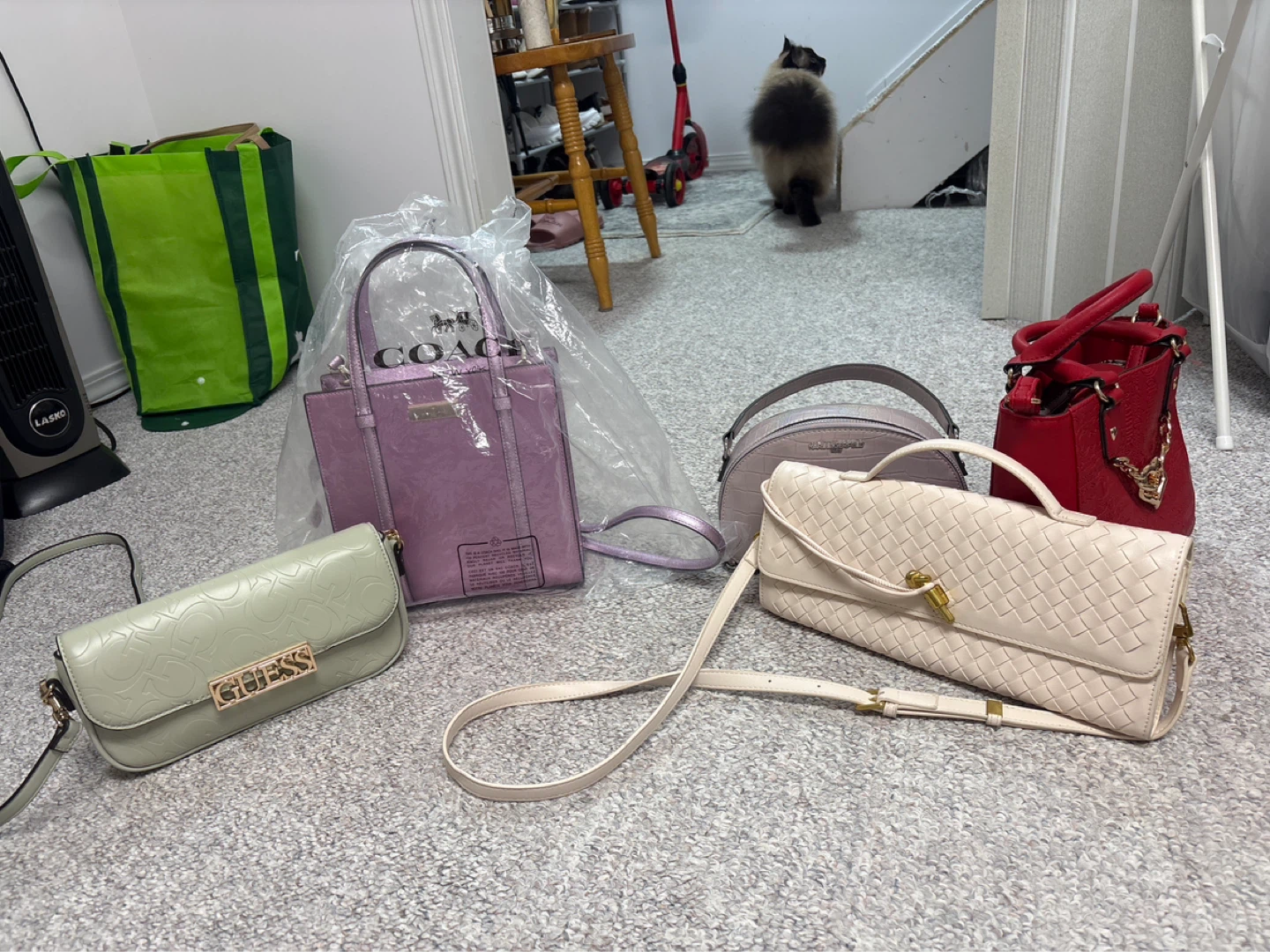 Assorted Women's H