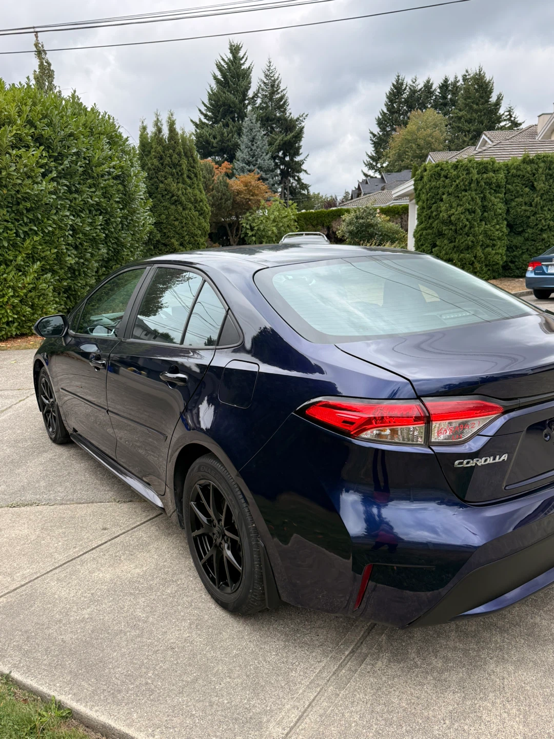 Dark Blue Toyota Corolla Sedan - photo 4