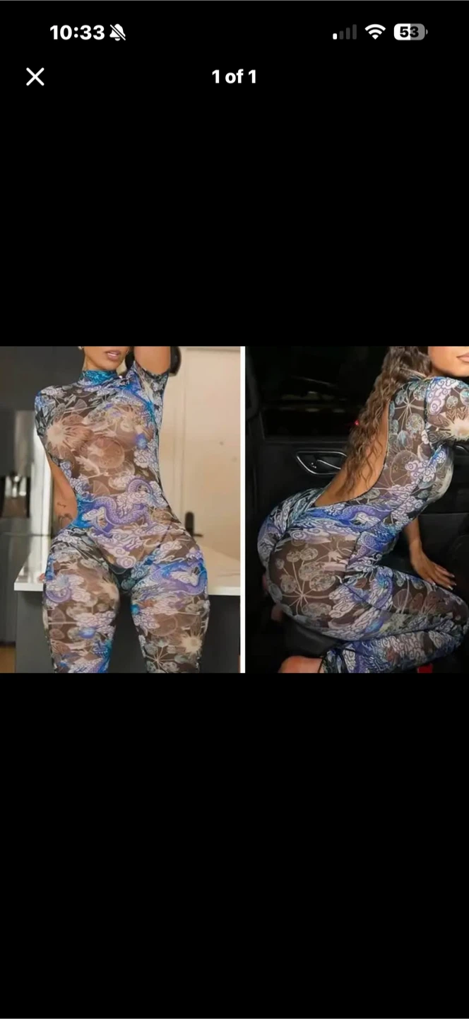Brand New Blue dragon print mesh bodysuit. Size Large