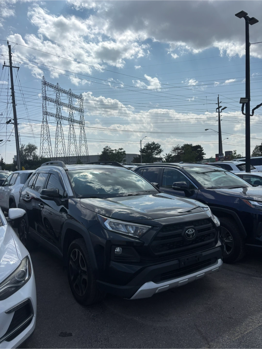 2019 Toyota  RAV4 - photo 3