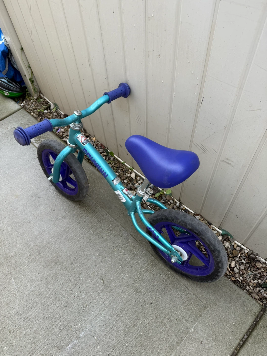 Schwinn Balance Bike - photo 3