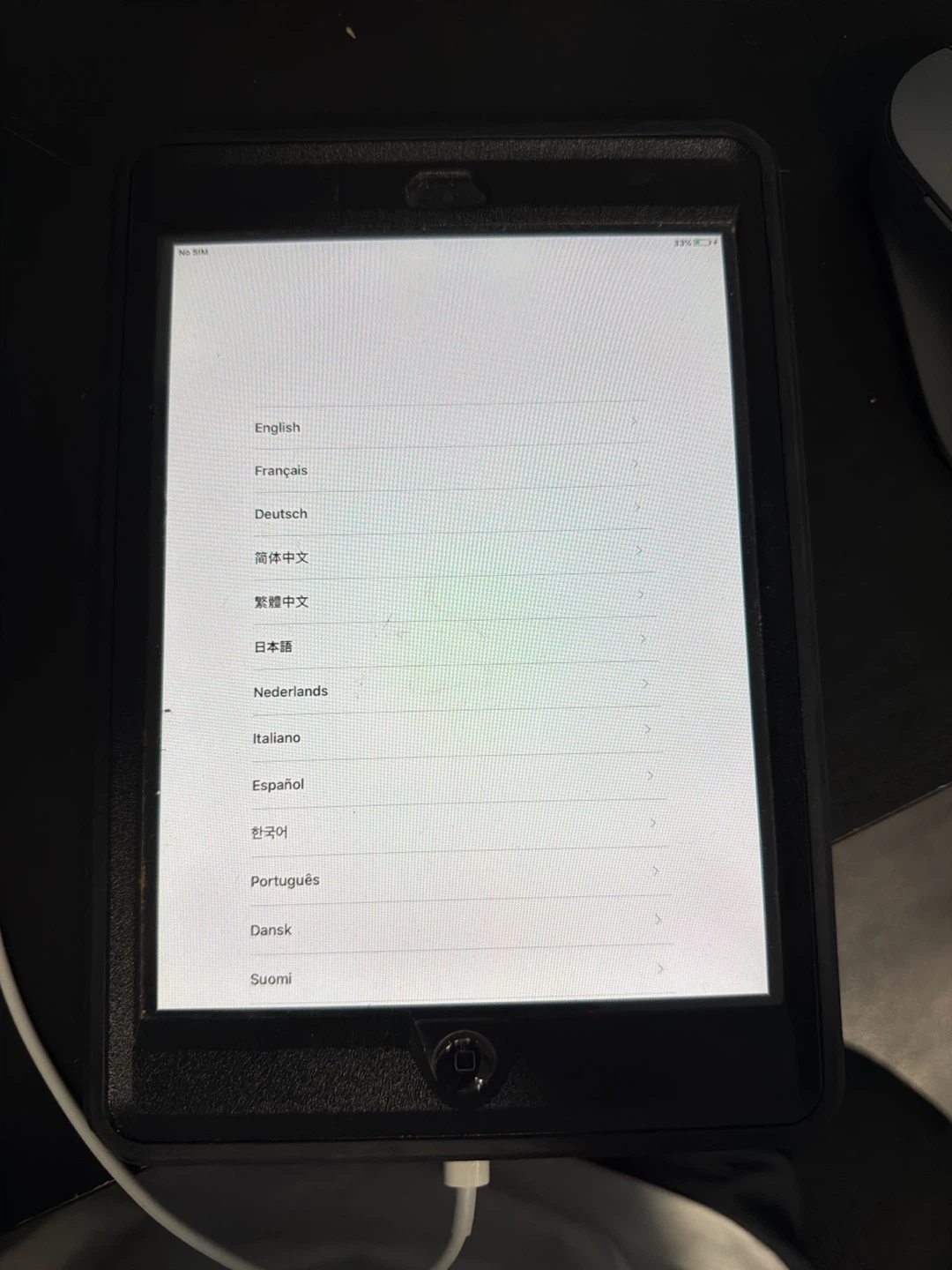 iPad