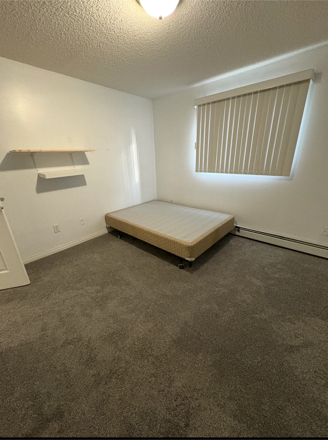 Room & private washroom. 11325–83 street nw - photo 5