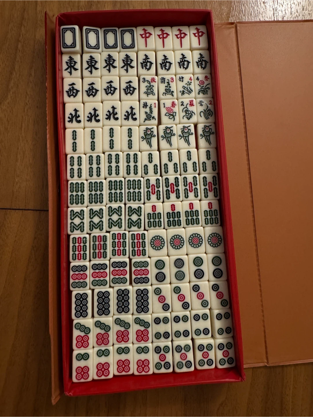 Travel Mahjong Tile Set with Carrying Case