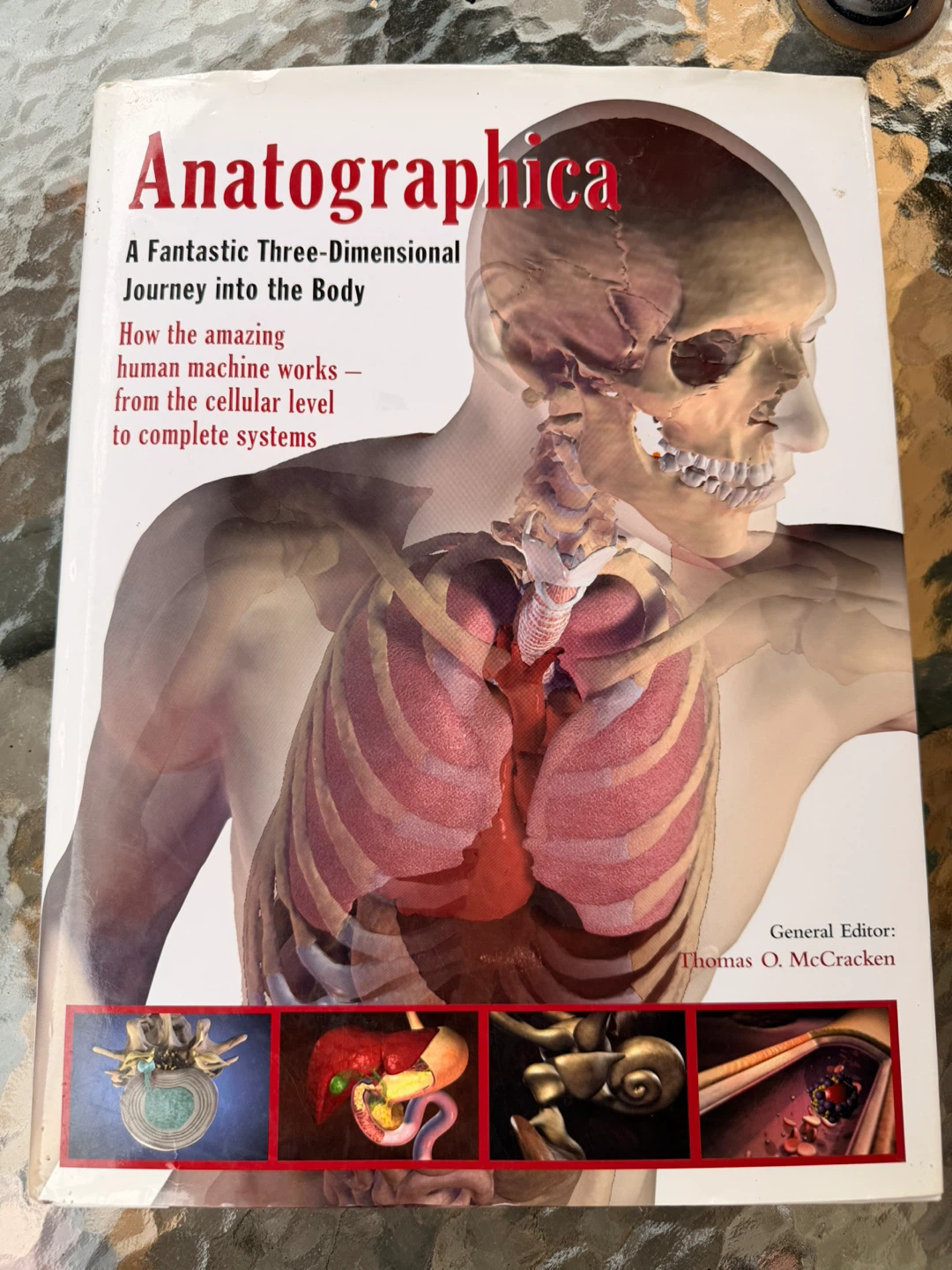 Anatographica: A Fantastic Three-Dimensional Journey