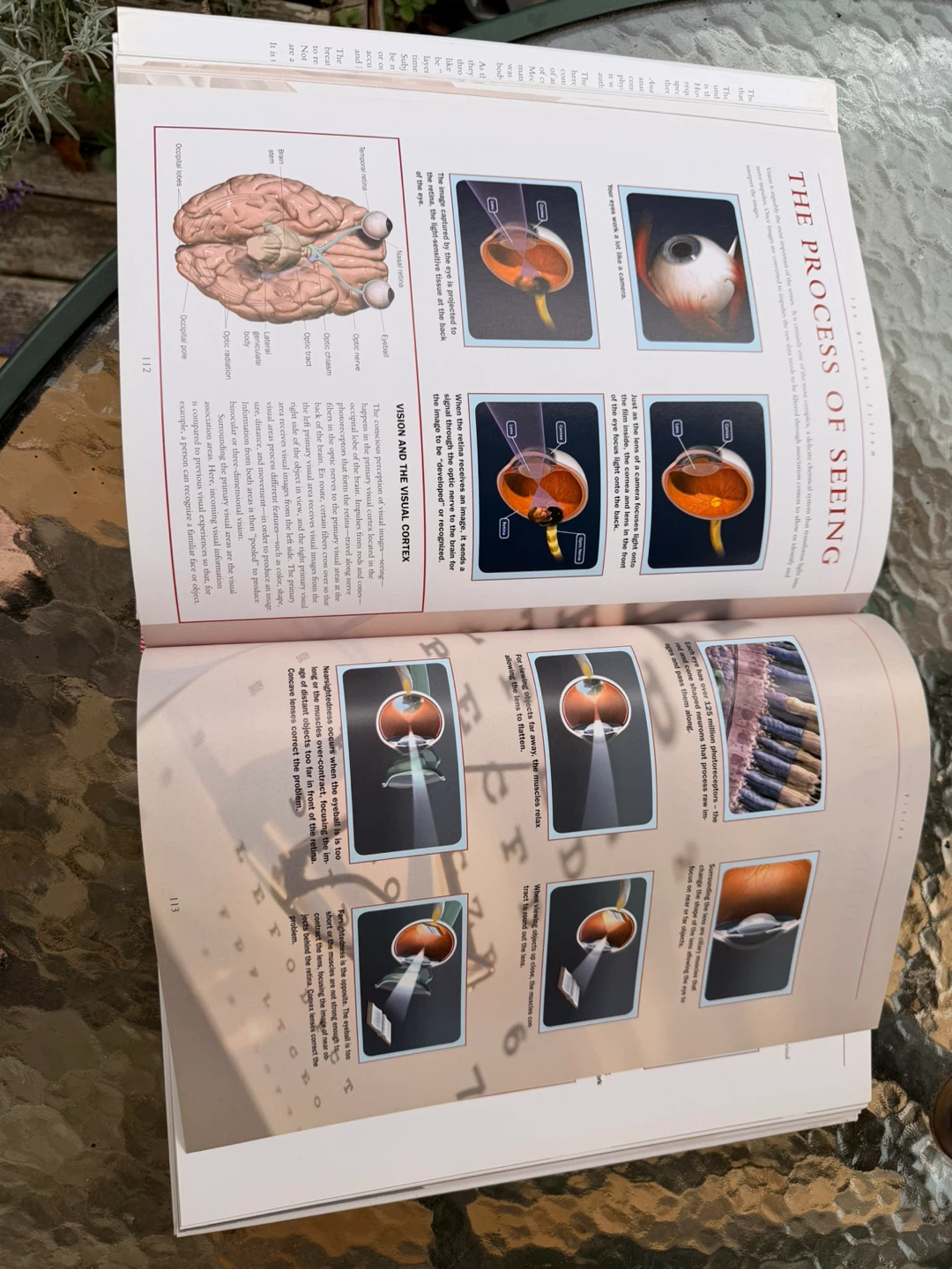 Anatographica: A Fantastic Three-Dimensional Journey - photo 2