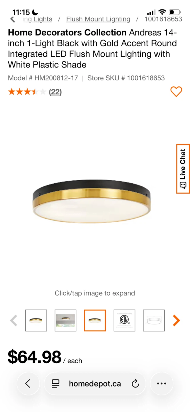 Home Decorators Collection Andreas 14-inch LED Flush Mount - photo 3