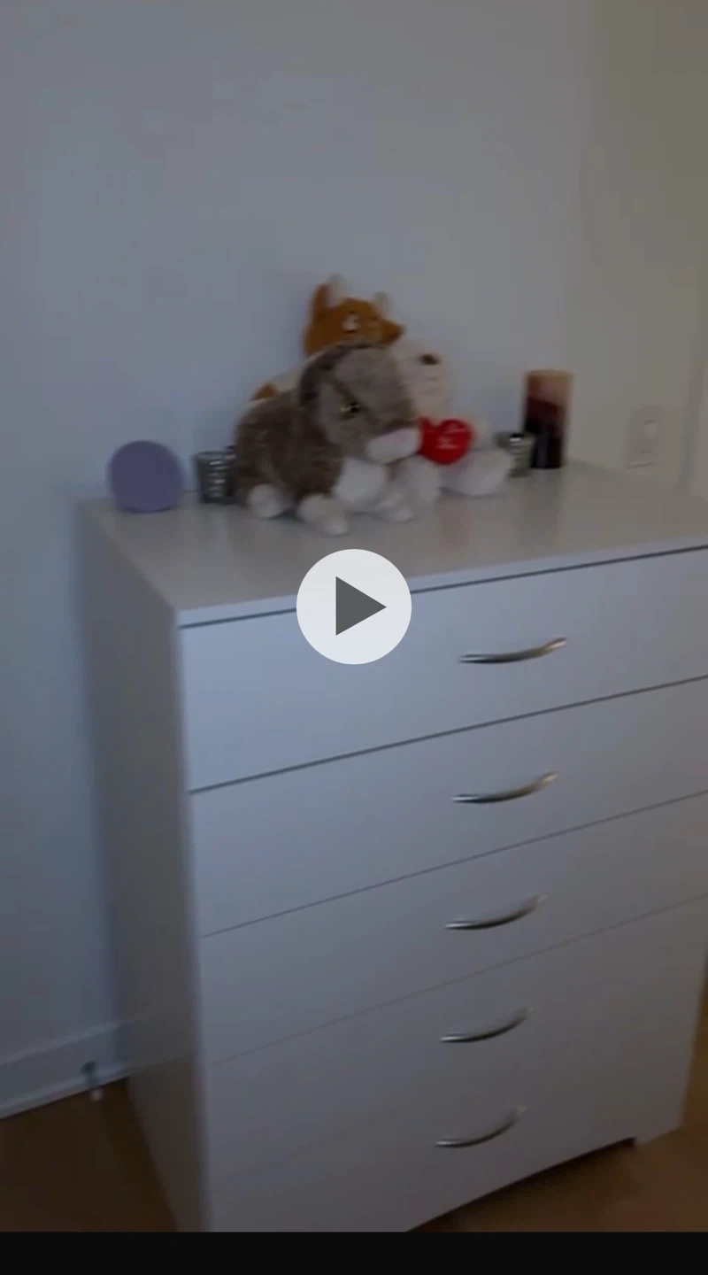 5 drawer dresser - photo 3