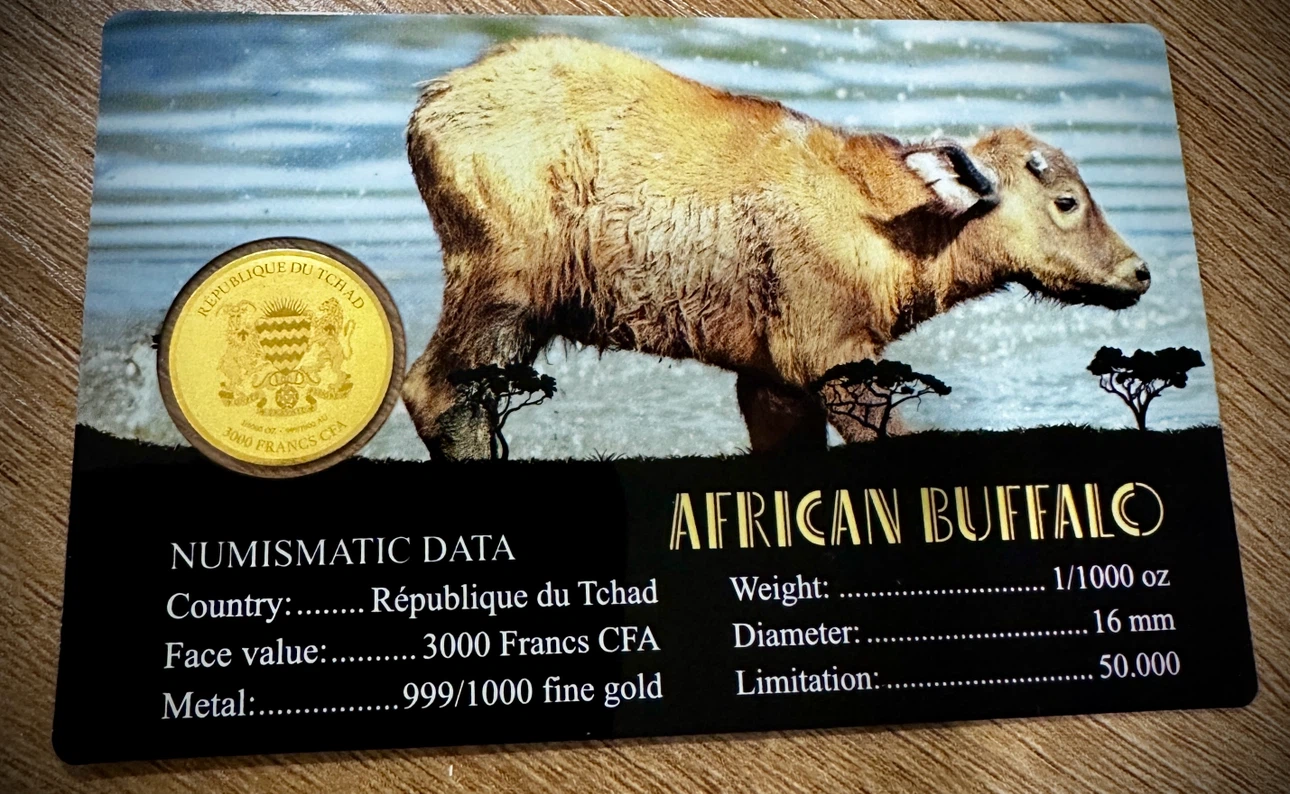 999 African Buffalo Gold Coin 🐂