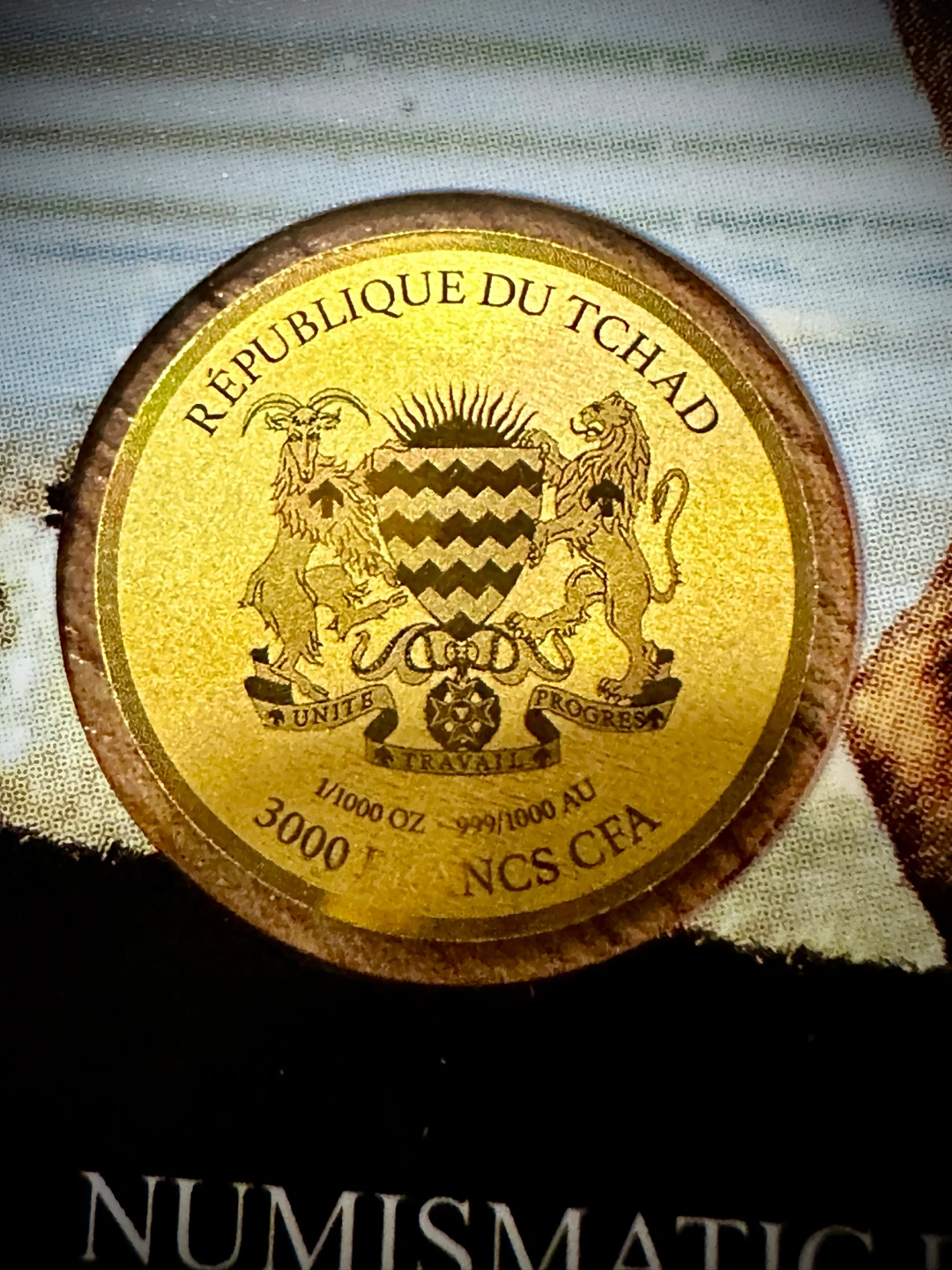 999 African Buffalo Gold Coin 🐂 - photo 4