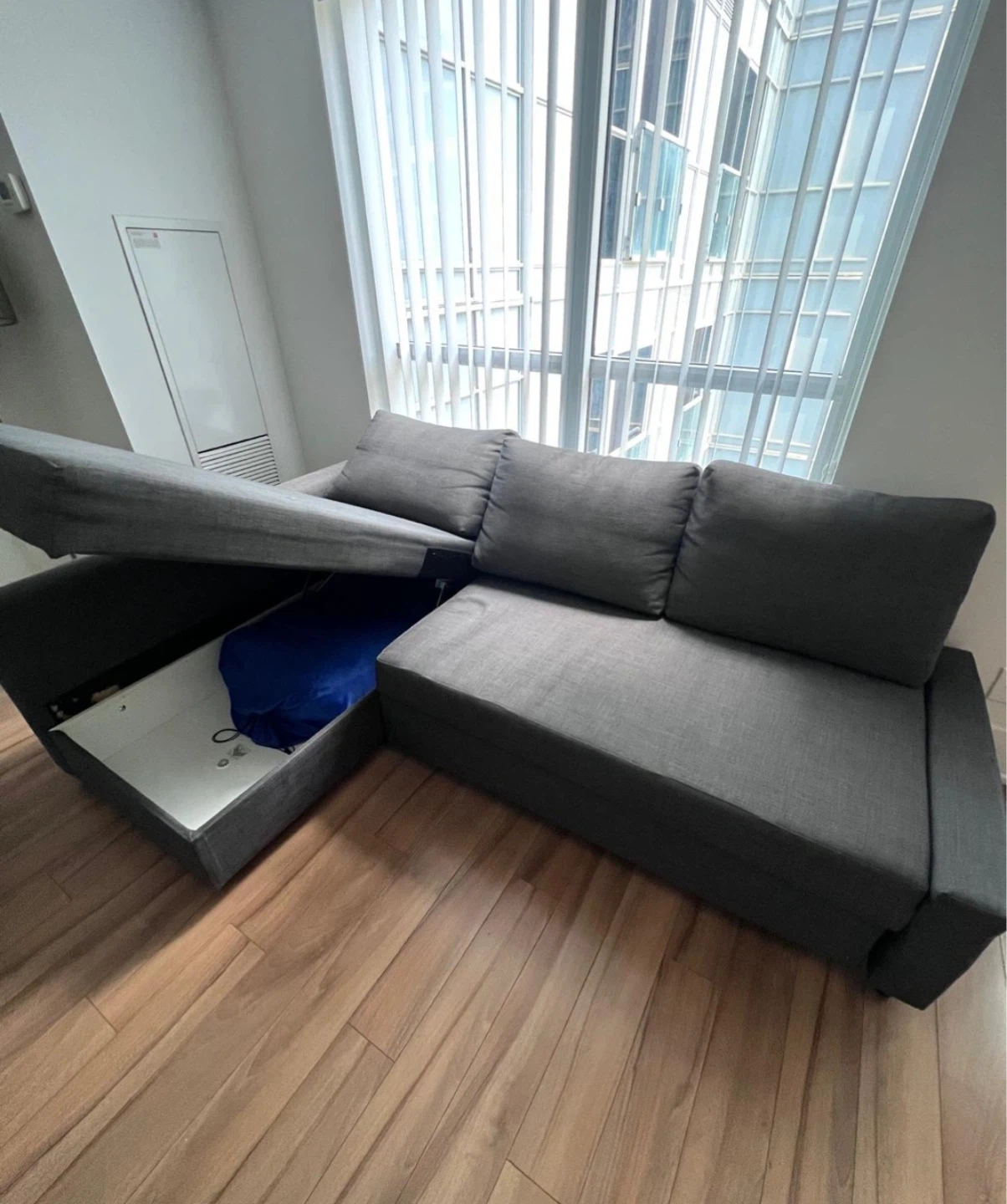 IKEA Friheten Sectional Sofa Bed