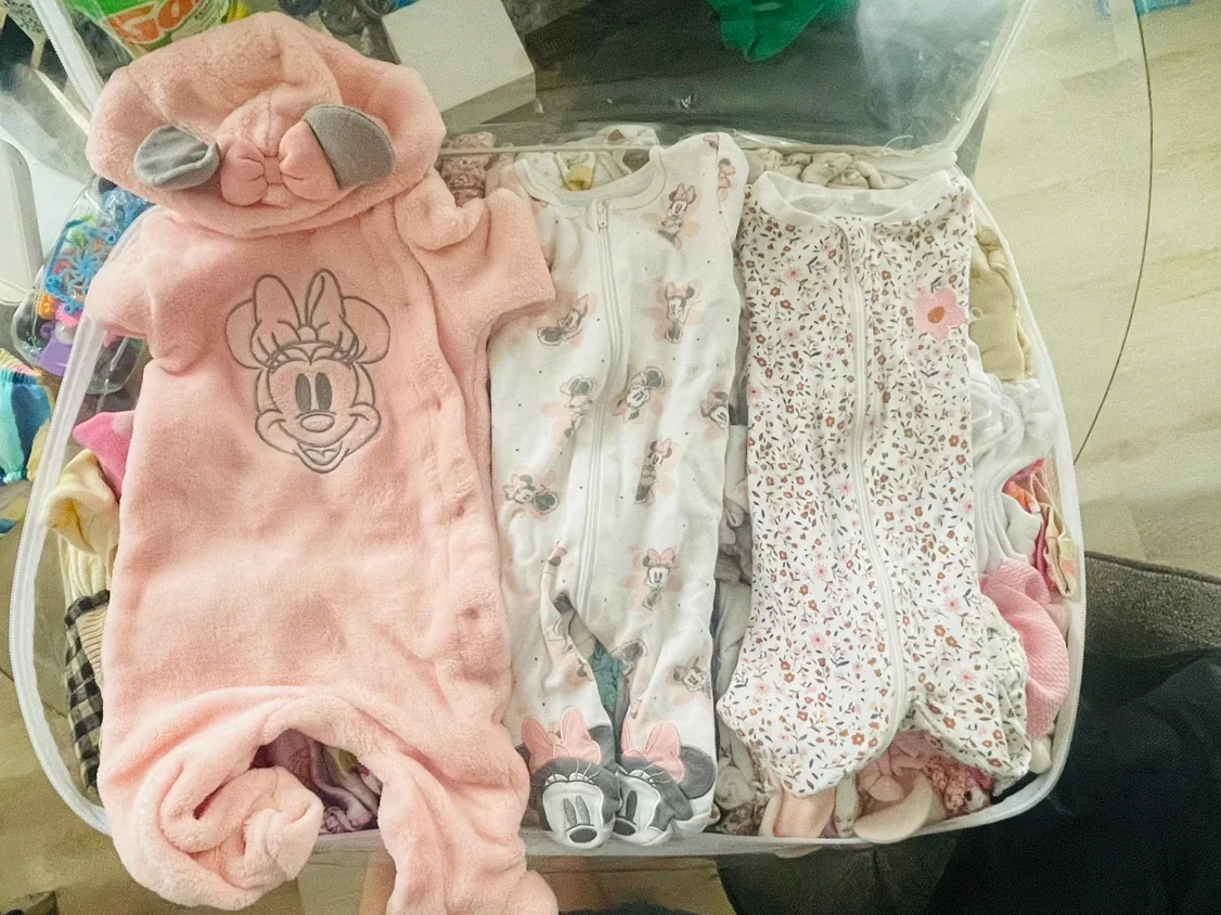 Baby Girl Clothing Bundle