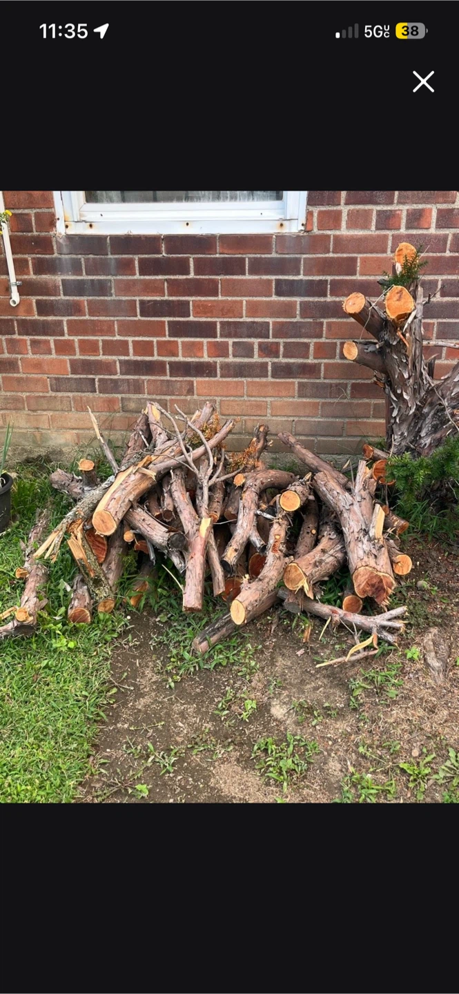 Fire wood.    (. Free. )