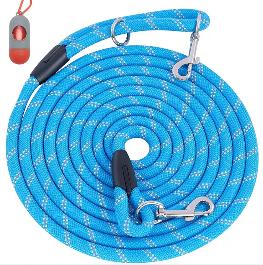 Long Dog Training Leash (30 FT, Blue)