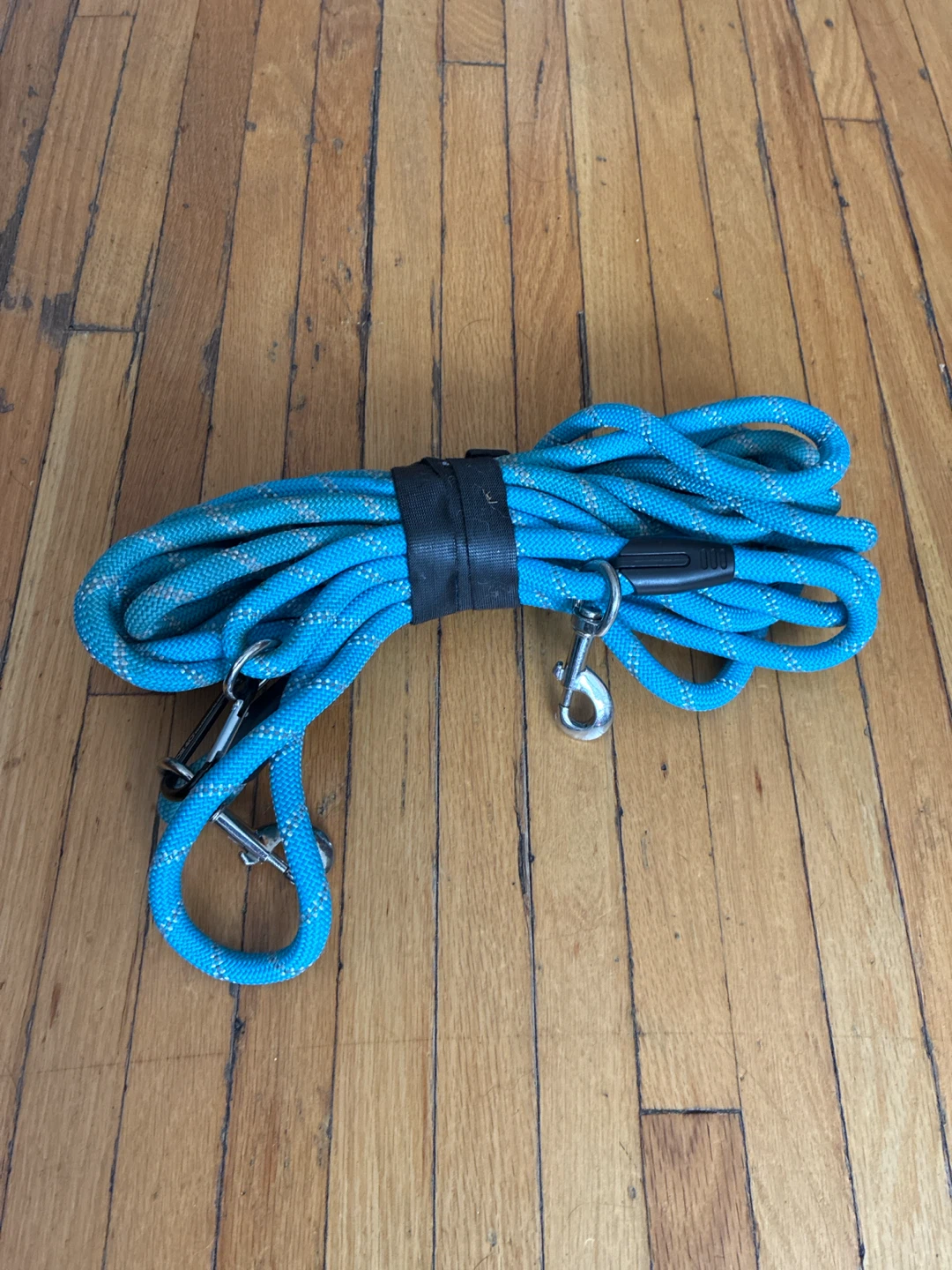 Long Dog Training Leash (30 FT, Blue) - photo 2