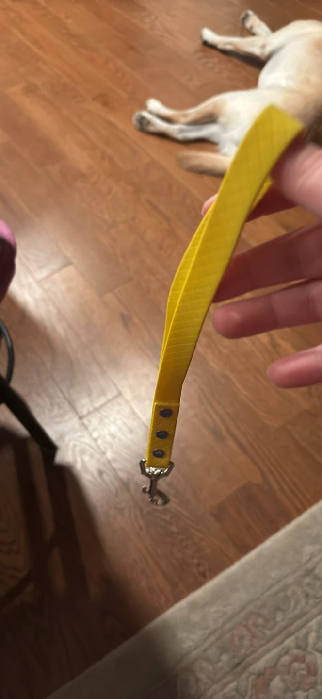Yellow Pet Leash