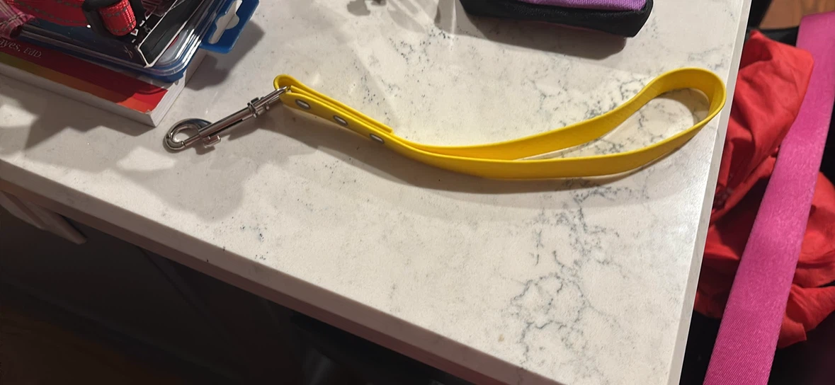 Yellow Pet Leash - photo 2