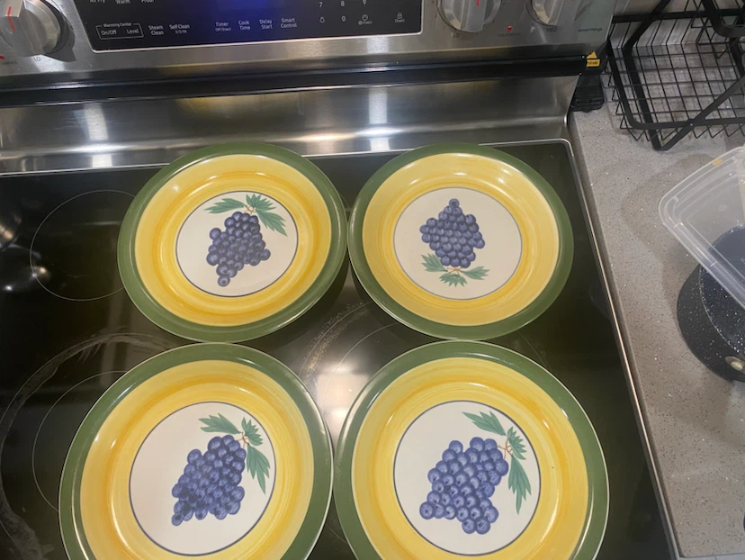 Set of 4 Grape Pattern Dinner Plates
