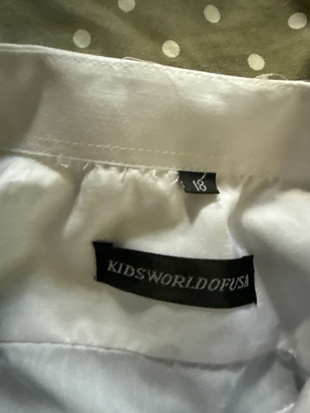 KidsWorldOfUSA Boys Dress Shirt, Vest, and Pants Set - photo 2