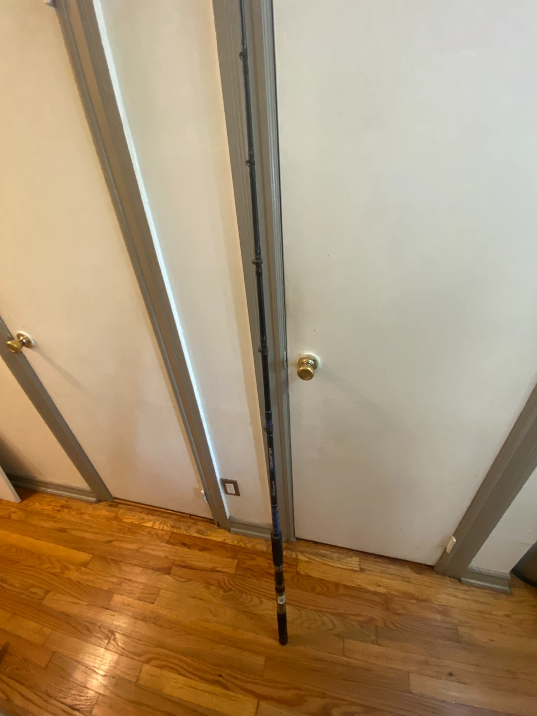 Shakespeare Tidewater Fishing Rod - photo 2