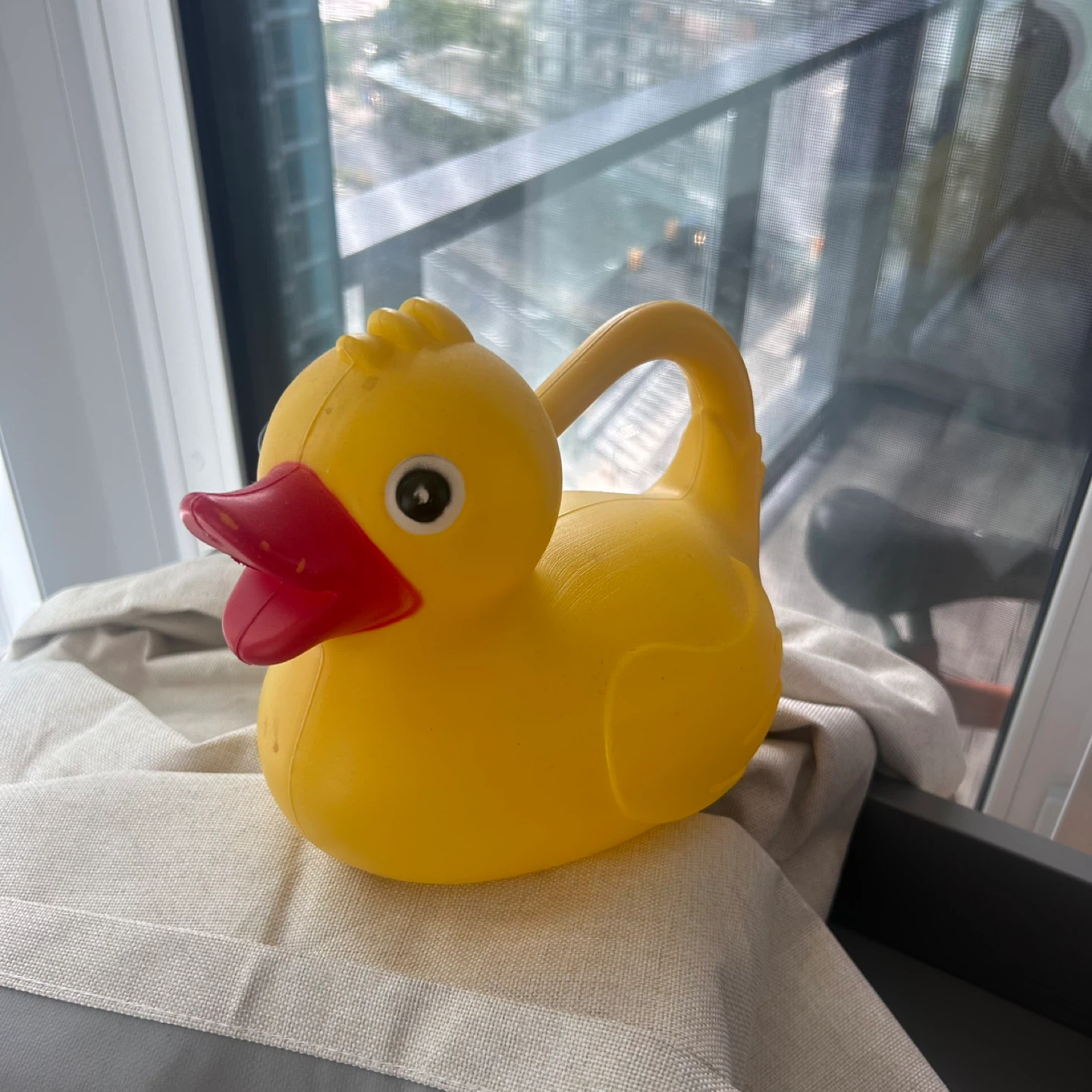 Free! Duck Watering Can