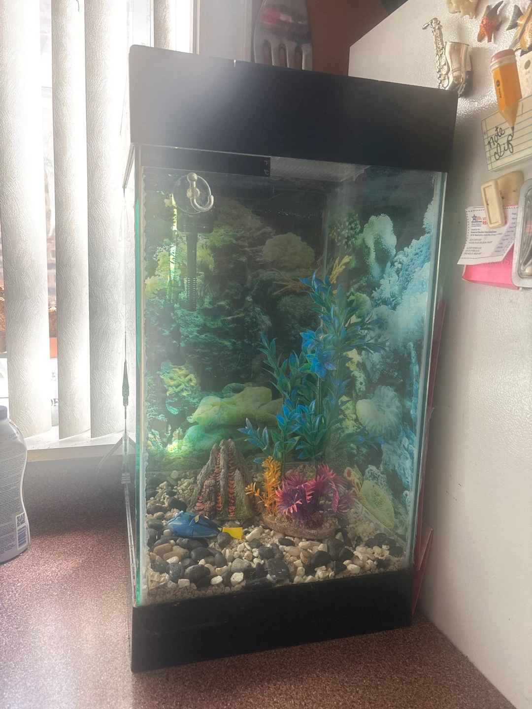 Glass Aquarium with Decor