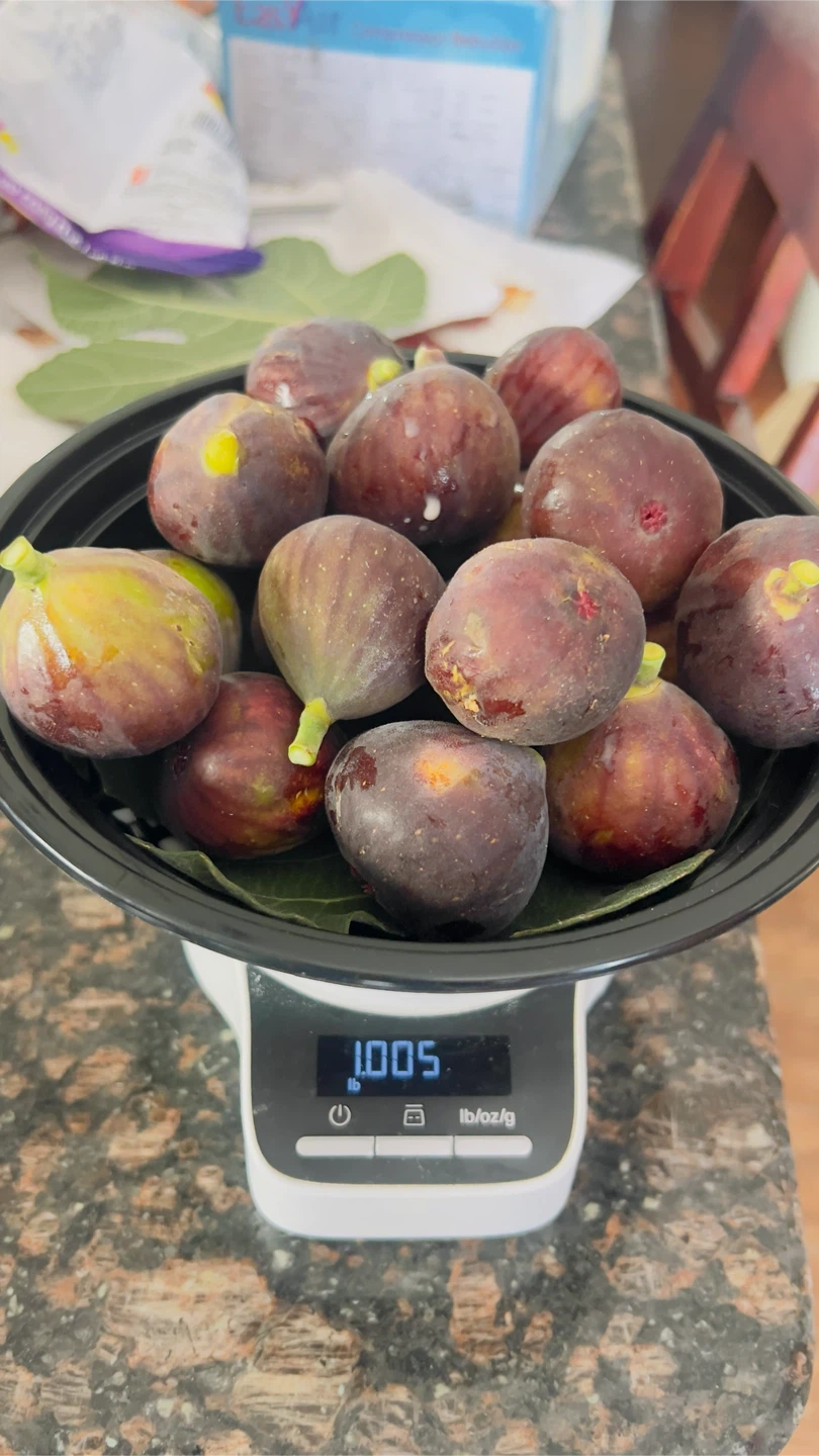 Organic Freshly Collected Figs Pick up in Mill Basin Brooklyn - photo 2